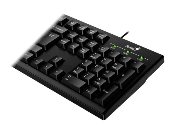 TECLADO GENIUS SMART KB-100 USB SP BLACK 31300005401 - Imagen 2